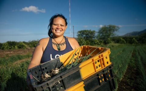 A farm manager holding a crate with vegetables.